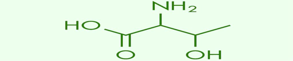 Треонин - незаменимая аминокислота для здоровья